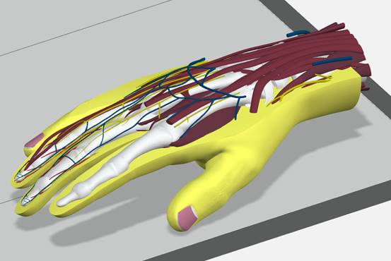 SOLIDWORKS-1556312905757